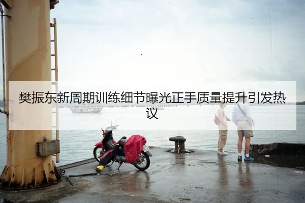 樊振东新周期训练细节曝光正手质量提升引发热议